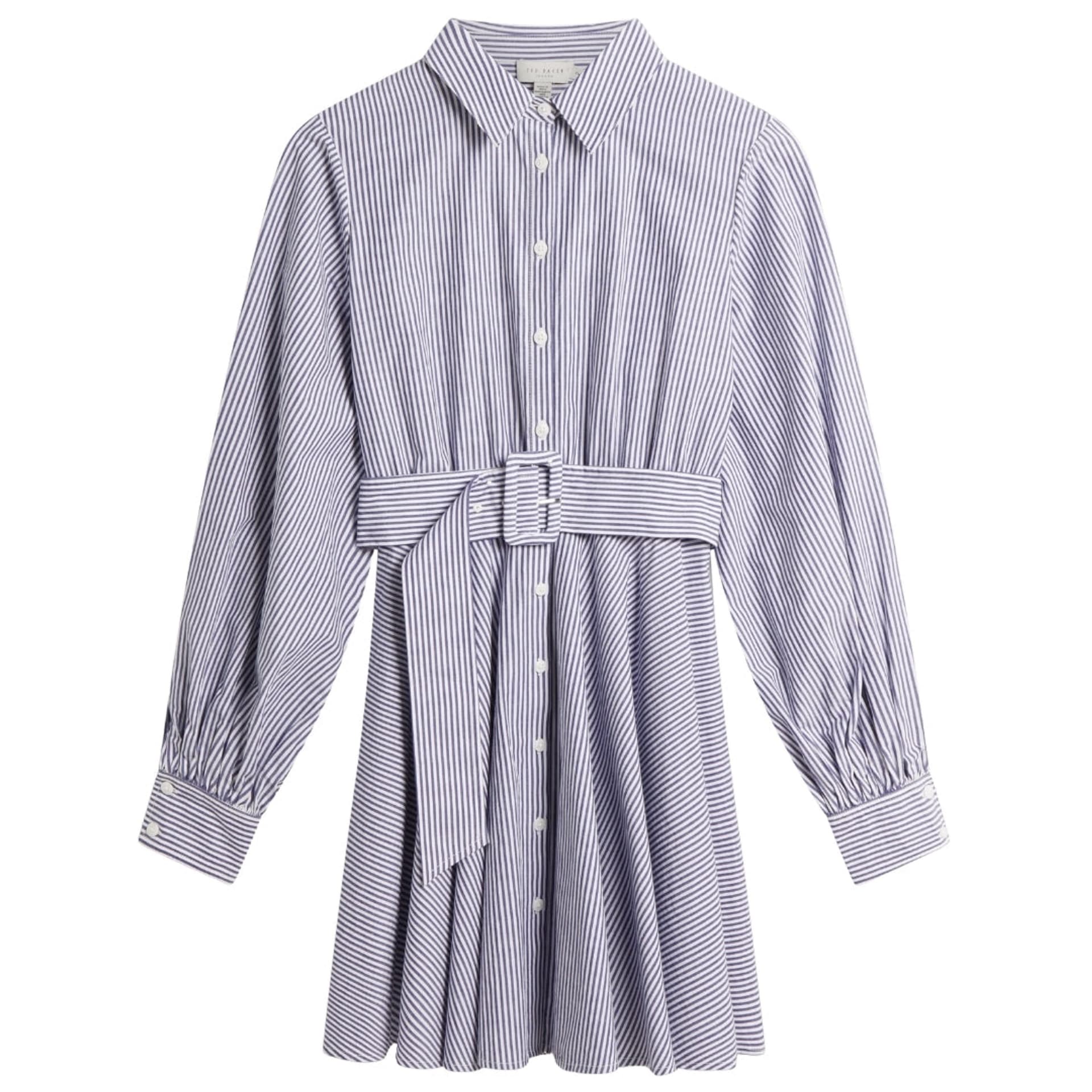 Ted Baker Ted Baker Women's Ibarra Long Sleeve V-neck Mini Dress in Mid Blue
