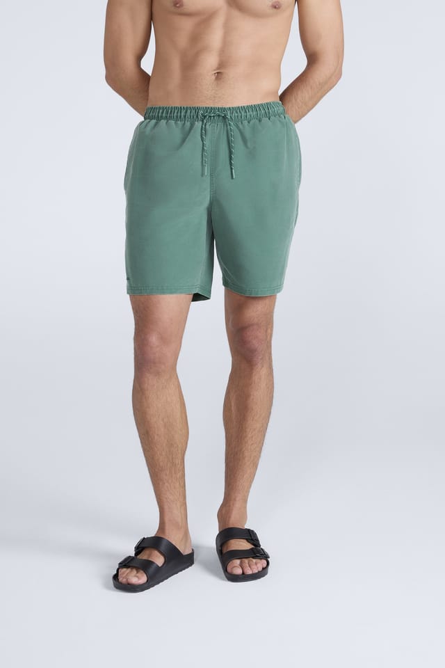 Animal Animal Men's 'Deep Dive' Lightweight Elastic Waist Quick Dry Beach Boardshorts in Pale Green - 2