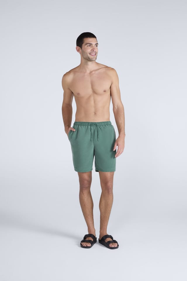 Animal Animal Men's 'Deep Dive' Lightweight Elastic Waist Quick Dry Beach Boardshorts in Pale Green - 3