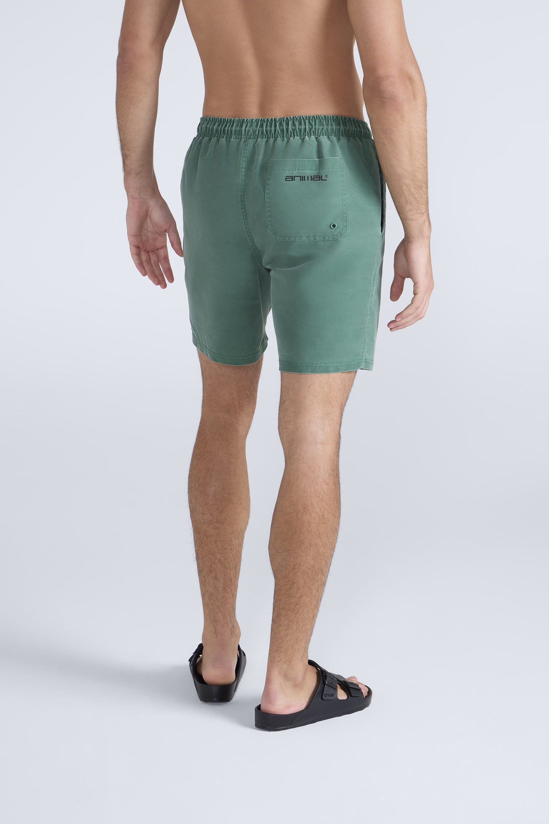 Animal Animal Men's 'Deep Dive' Lightweight Elastic Waist Quick Dry Beach Boardshorts in Pale Green - 4