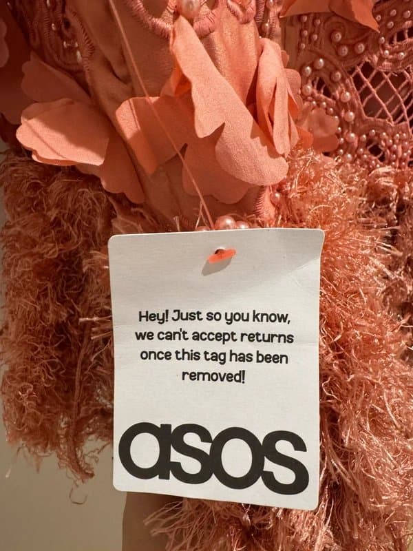 ASOS ASOS Luxe 3D Floral embellished broderie mini dress with faux feather trim in pink