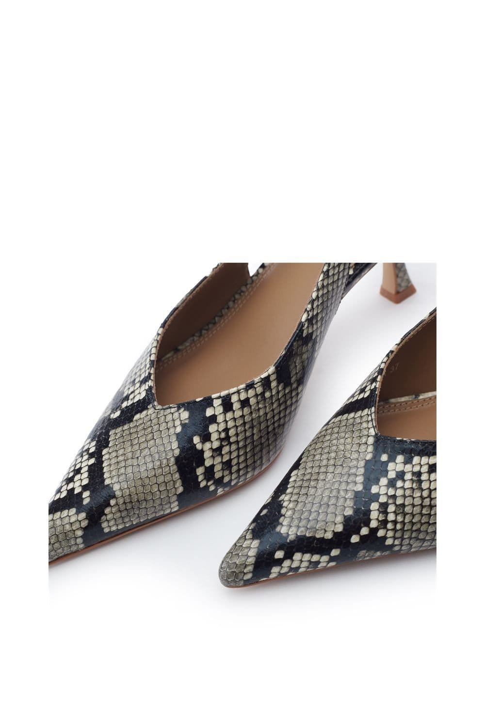 Moda in Pelle Moda In Pelle Women's 'Gallia' Snake Print Court Shoes in Grey - 4