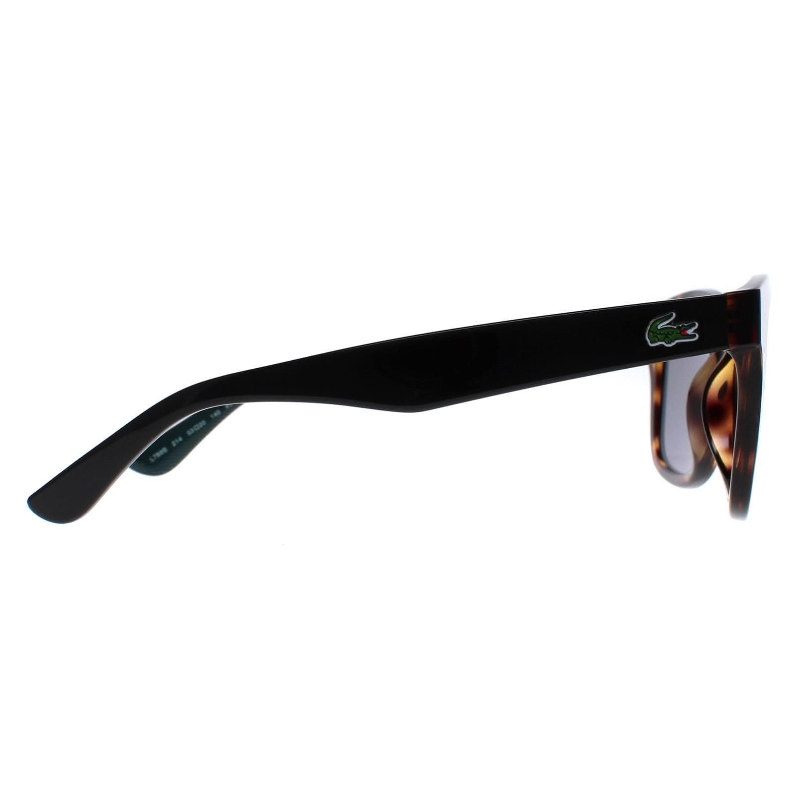 Lacoste Lacoste Men's Square Havana Grey L789S in Brown - 4