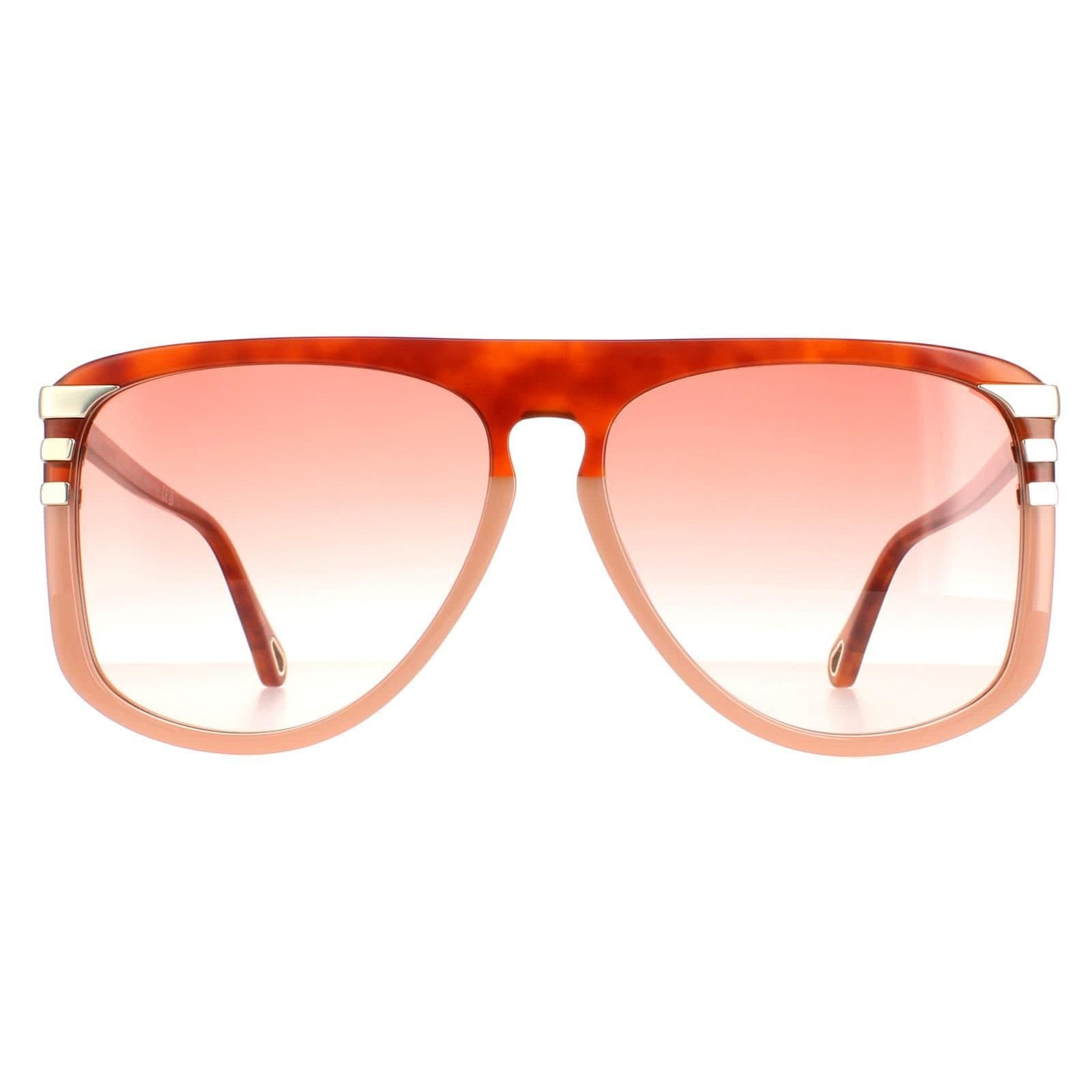 Chloé Chloé Women's Aviator Shiny Blonde Havana Orange Gradient CH0104S in Brown