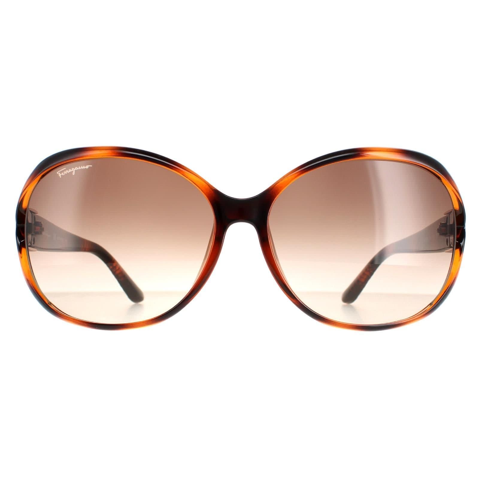 Salvatore Ferragamo Salvatore Ferragamo Women's Oval Tortoise Brown Gradient SF770SA