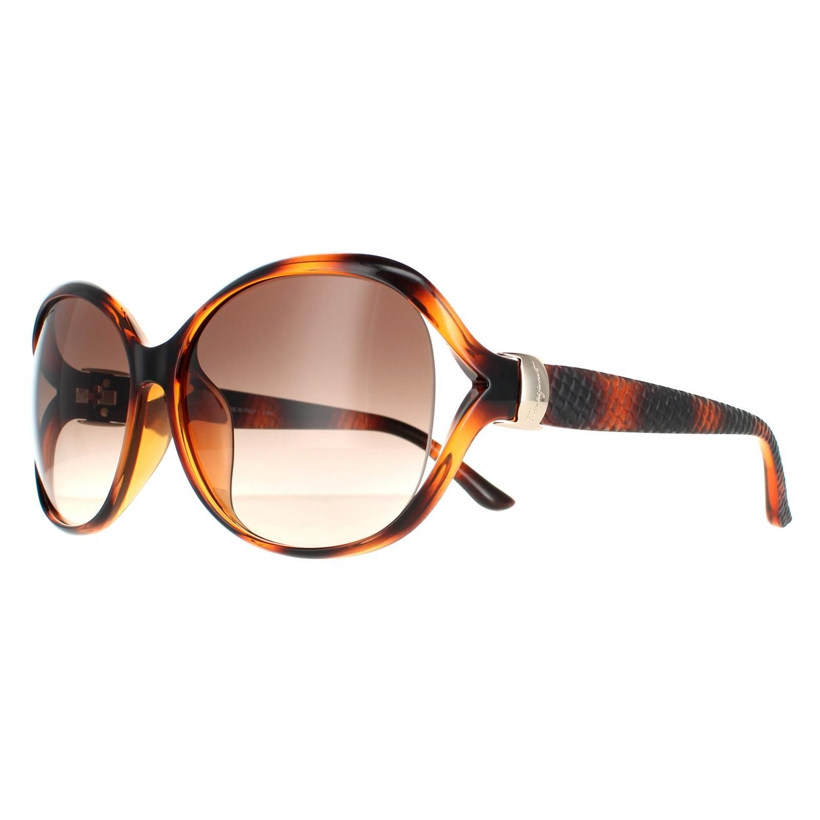 Salvatore Ferragamo Salvatore Ferragamo Women's Oval Tortoise Brown Gradient SF770SA - 2