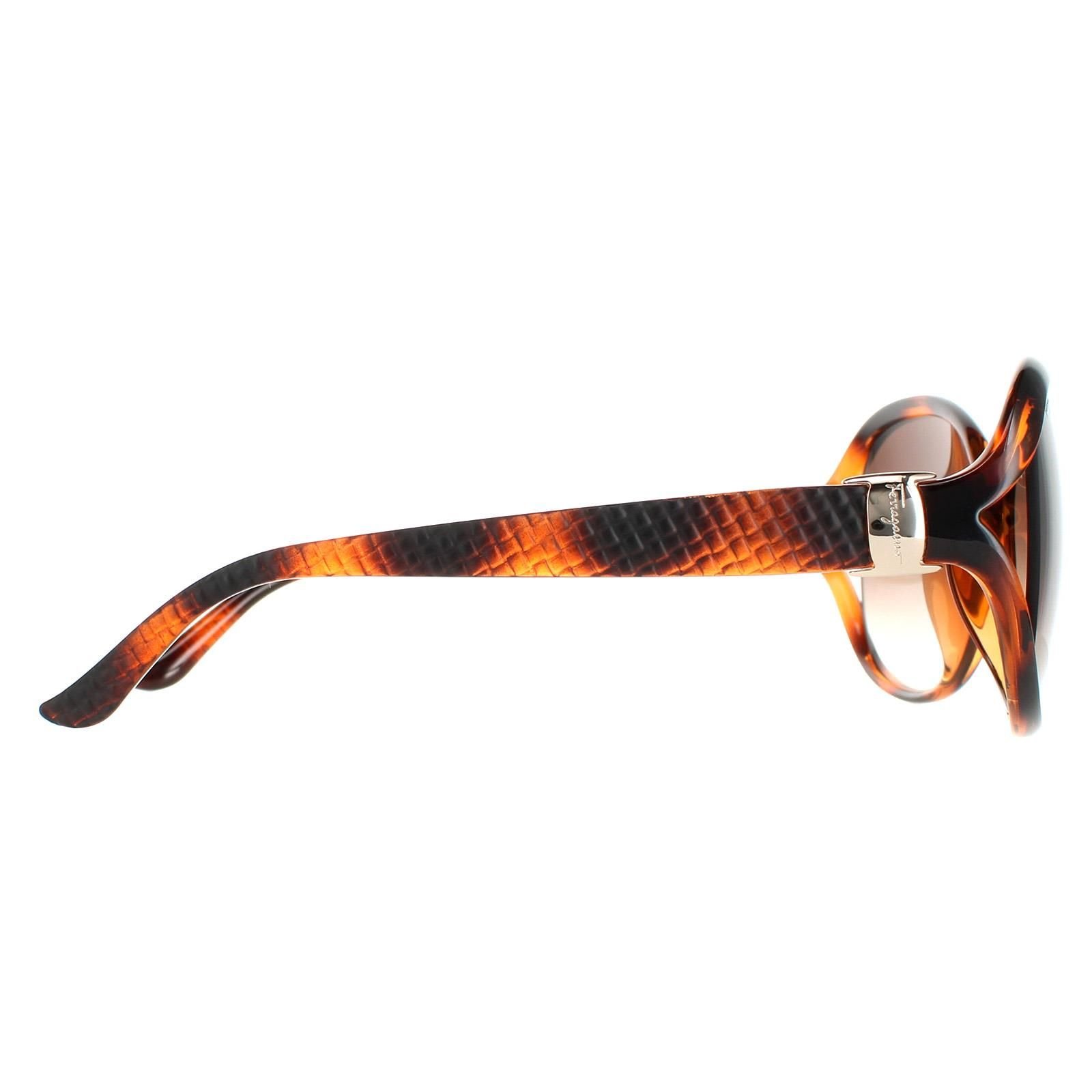 Salvatore Ferragamo Salvatore Ferragamo Women's Oval Tortoise Brown Gradient SF770SA - 4