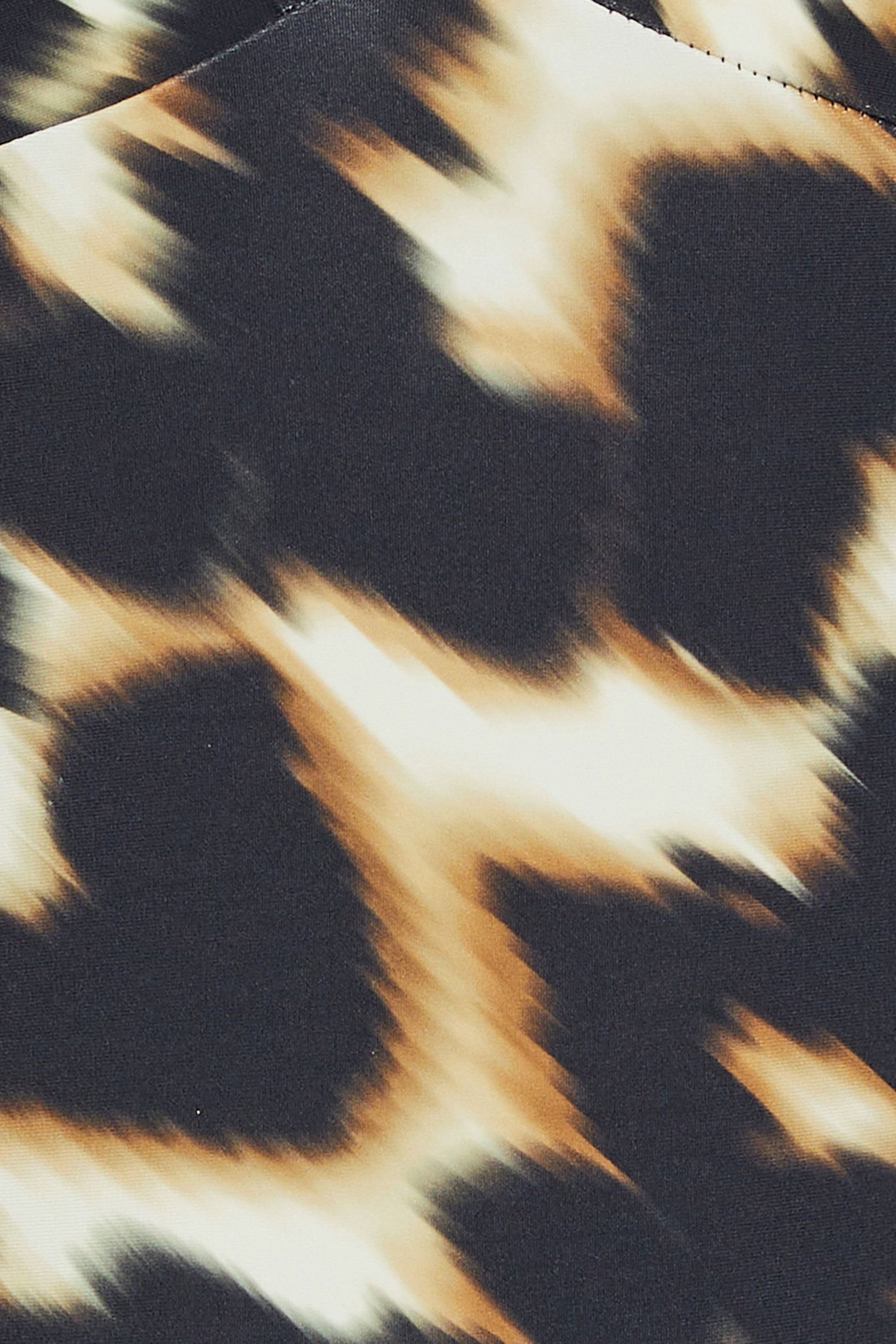 Star By Julien Macdonald Star by Julien Macdonald Women's Leopard Print Tummy Control Swimsuit in Black - 4