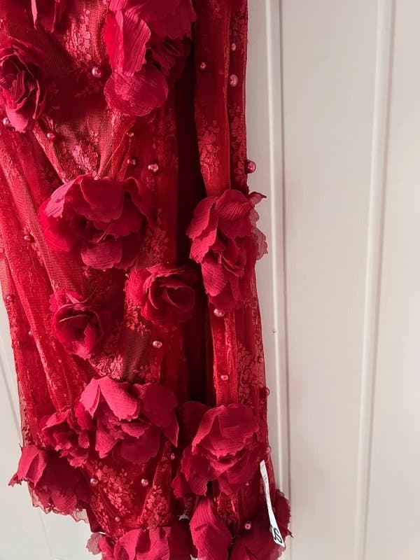 ASOS Asos Luxe 3D Floral Embellished Lace Maxi Dress