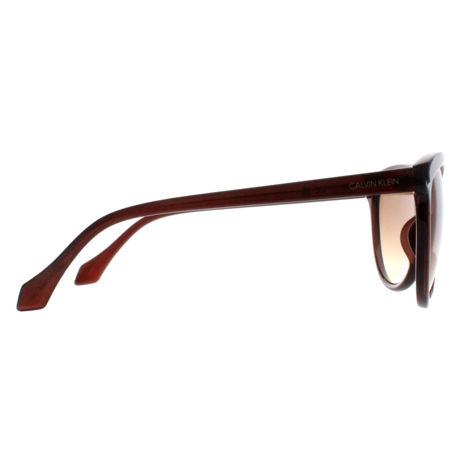 Calvin Klein CALVIN KLEIN Women's Cat Eye Crystal Brown Brown Gradient CK19534S - 4