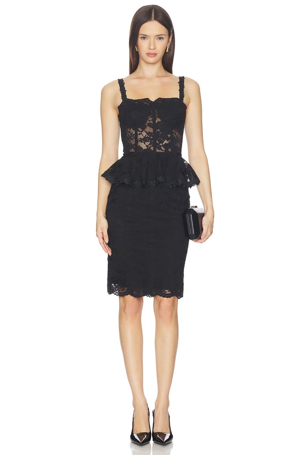 revolve Angelique Mesh Lace Dress