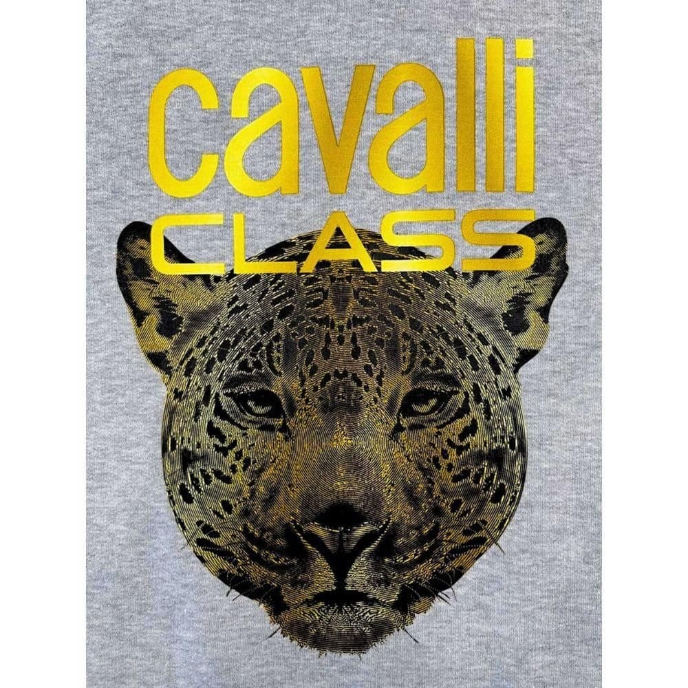 Cavalli Class Cavalli Class Women's Jaguar Sweatshirt Relaxed Fit in Light Grey - 4