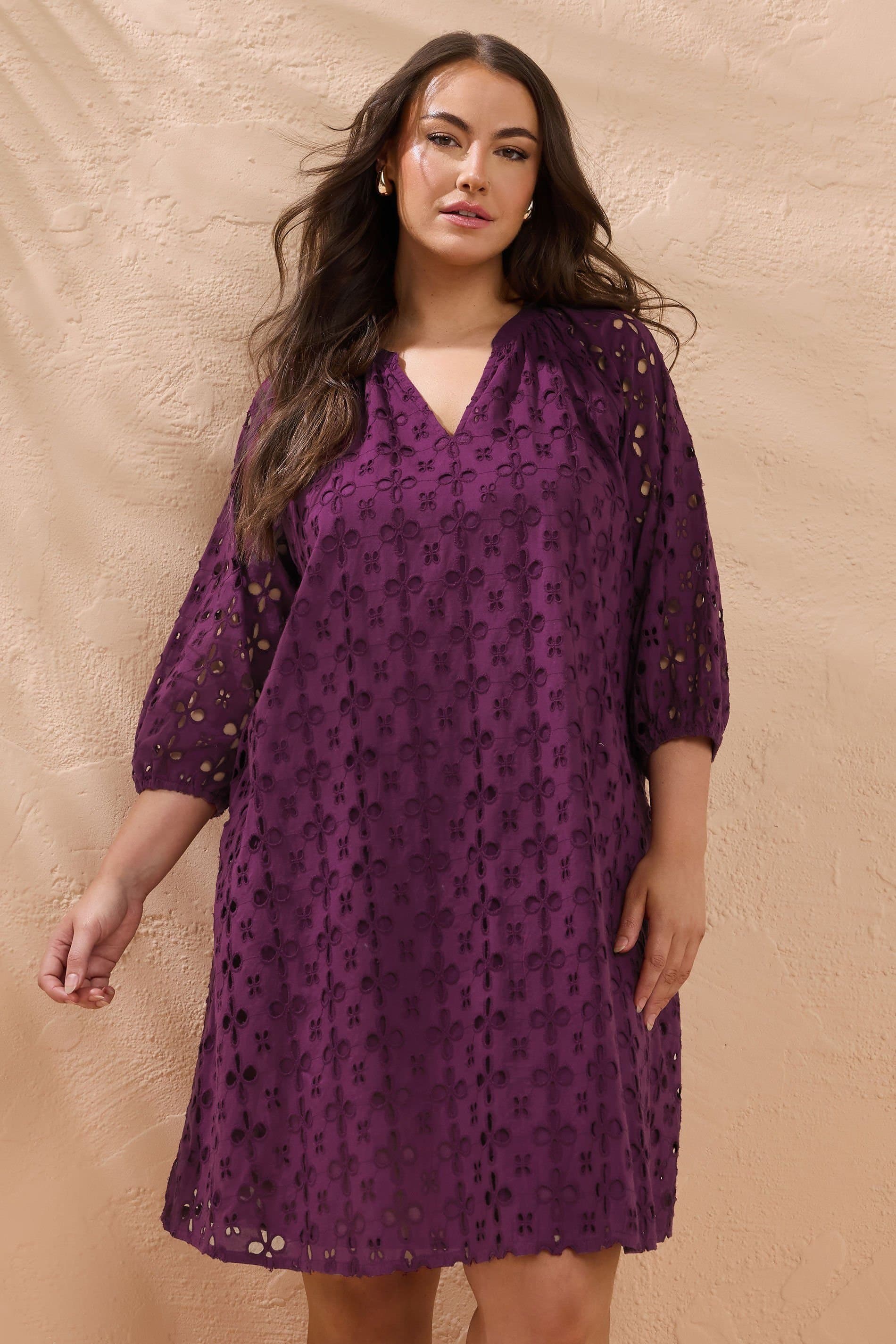 Evans Evans Women's Broderie Swing Dress in Purple