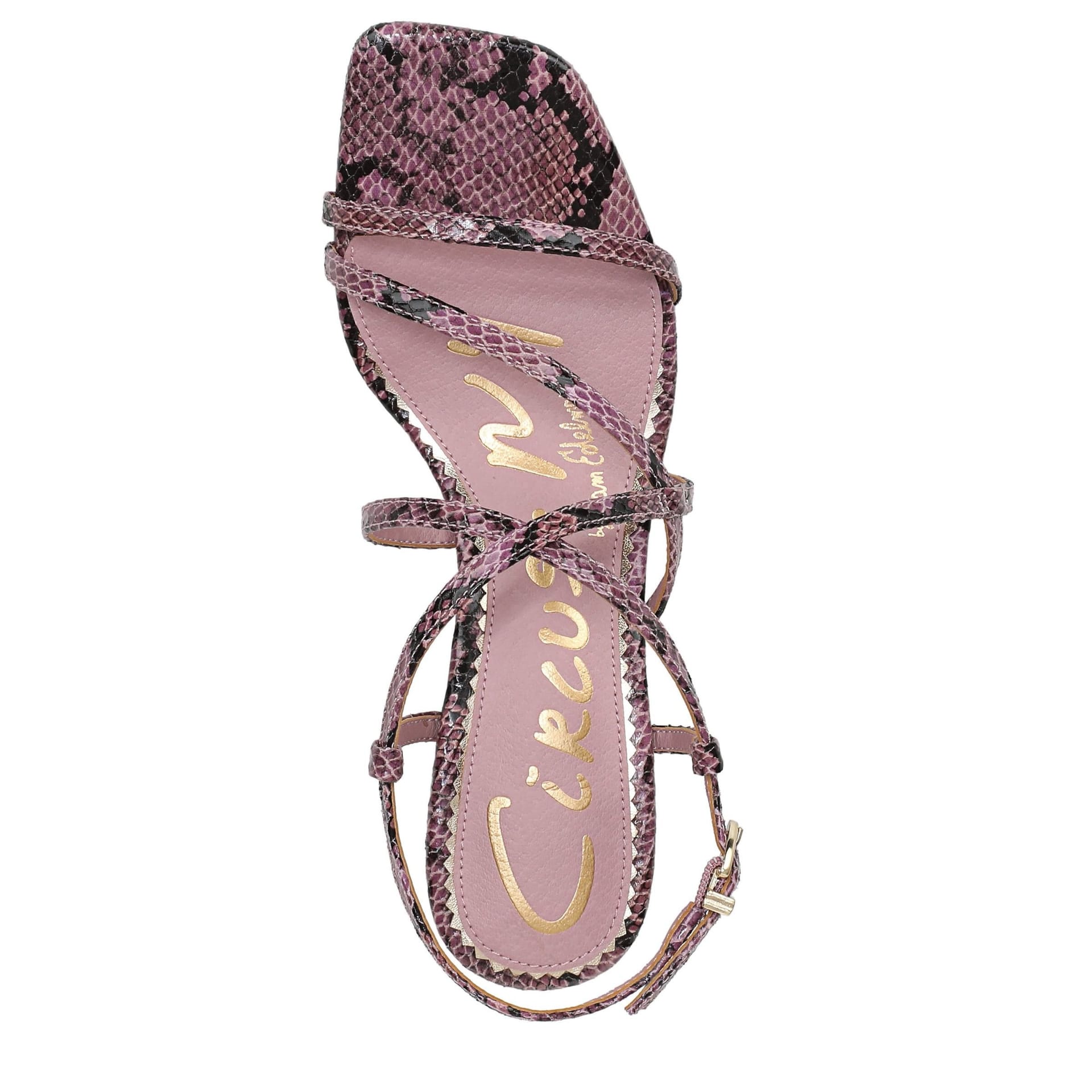 Sam Edelman Sam Edelman Women's Circus NY Jasmine Strappy Sandals in Lilac - 4