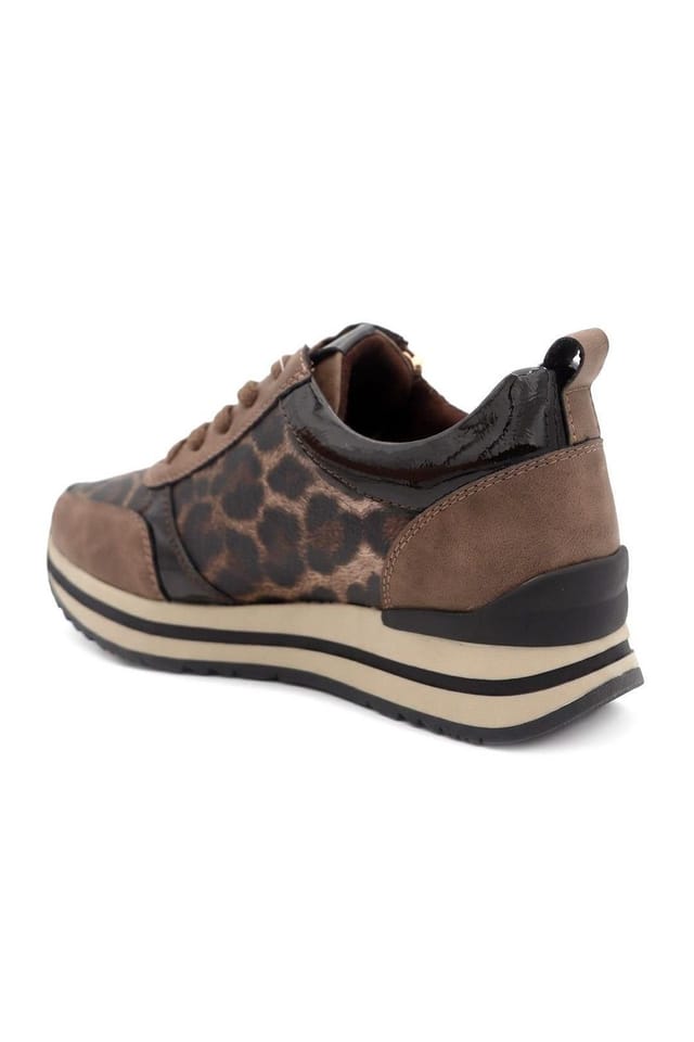 Pavers Pavers Women's Zip-Up Laced Trainers in Brown - 3