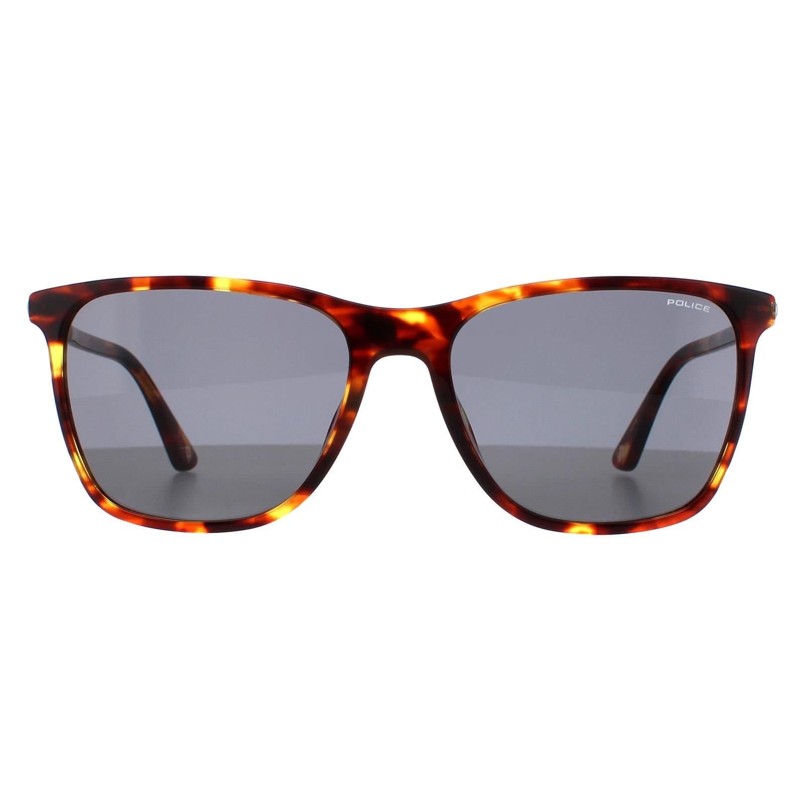 Police Police Men's Rectangle Medium Shiny Havana Grey Green SPLD45 Origins 46 Sunglasses in Brown