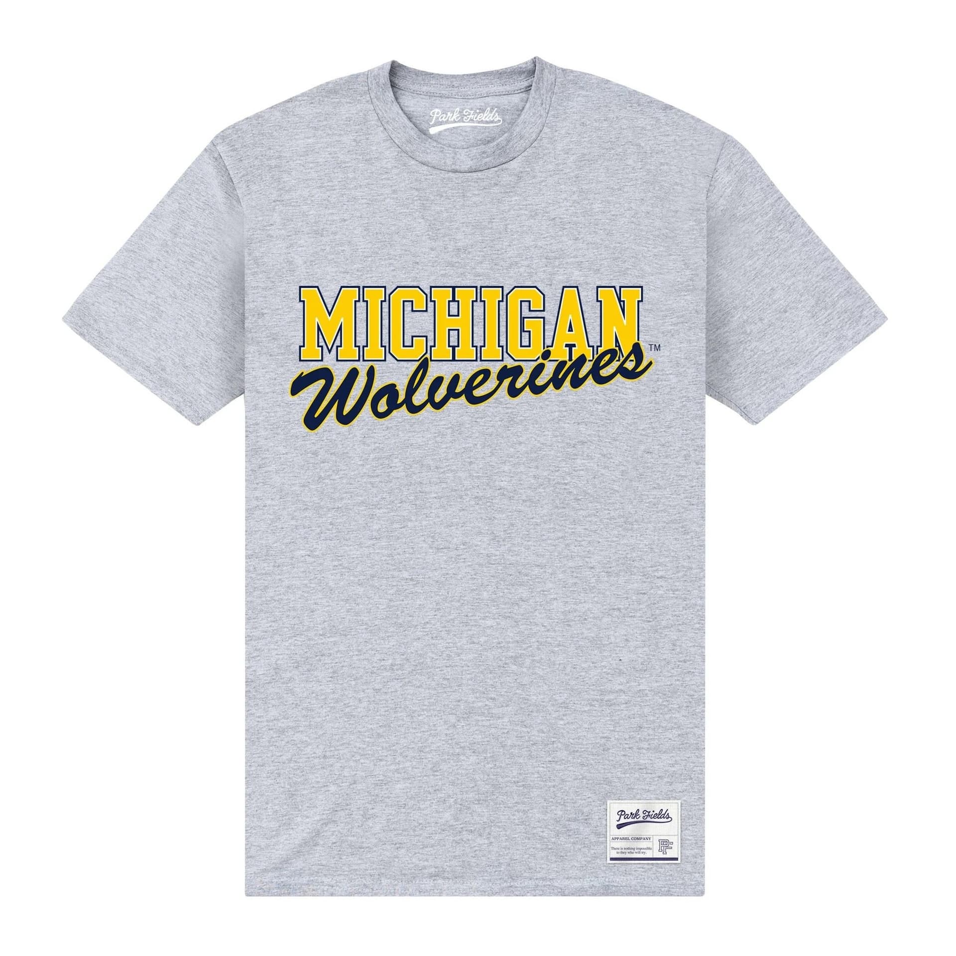 Michigan Wolverines Michigan Wolverines Men's Text T-Shirt in Grey