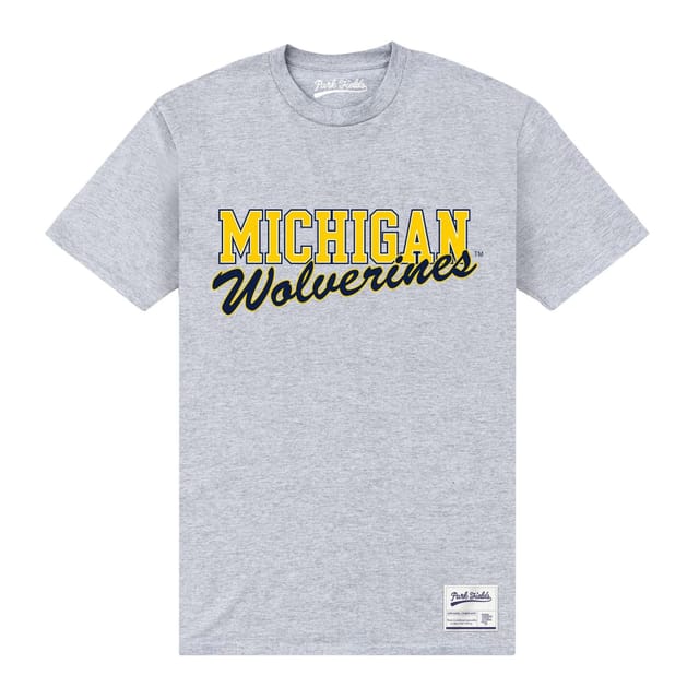Michigan Wolverines Michigan Wolverines Men's Text T-Shirt in Grey - 2