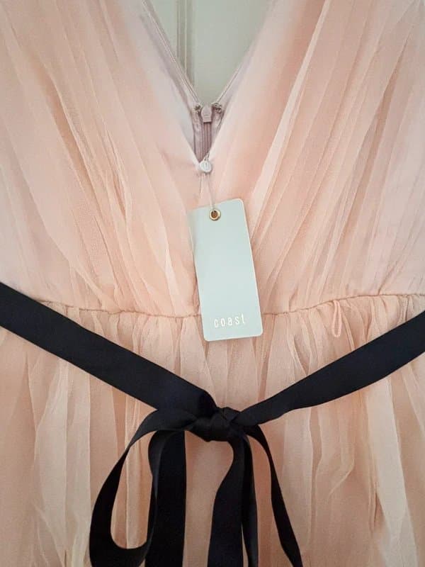 Coast Coast Blush Tulle Gown