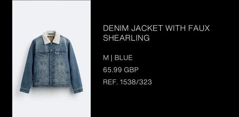 Zara Trendy denim jacket Zara
