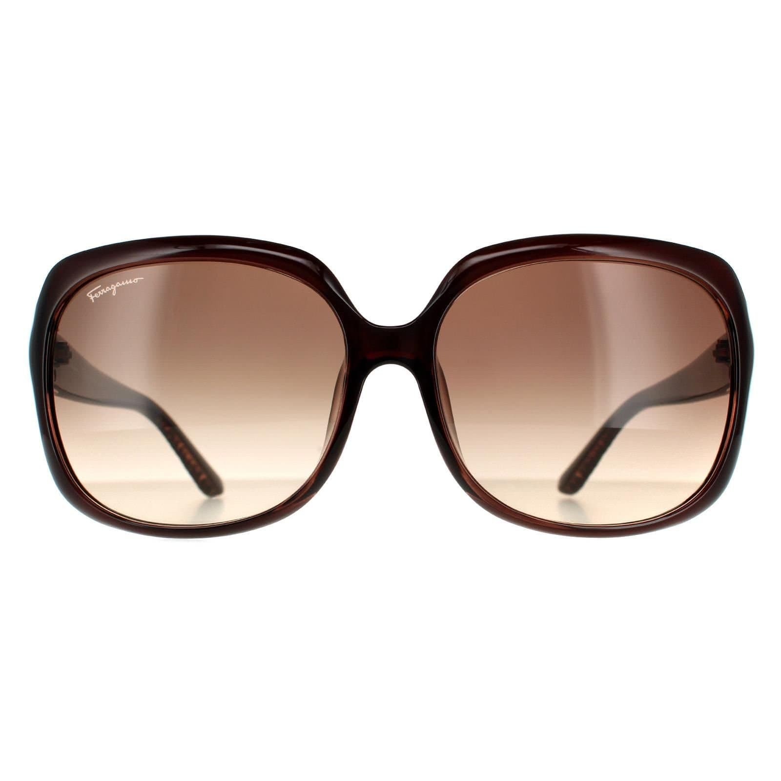 Salvatore Ferragamo Salvatore Ferragamo Women's Rectangle Brown Brown Gradient Sunglasses