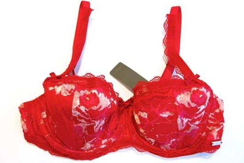 FAUVE Fauve Evangeline FV0262 Underwired Half Cup Padded Bra (Rouge) ROG 36B