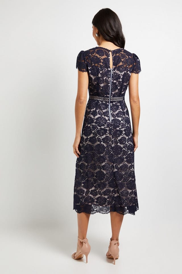 Wallis Wallis Women's Lace Fit & Flare Midi Dress in Navy - 3