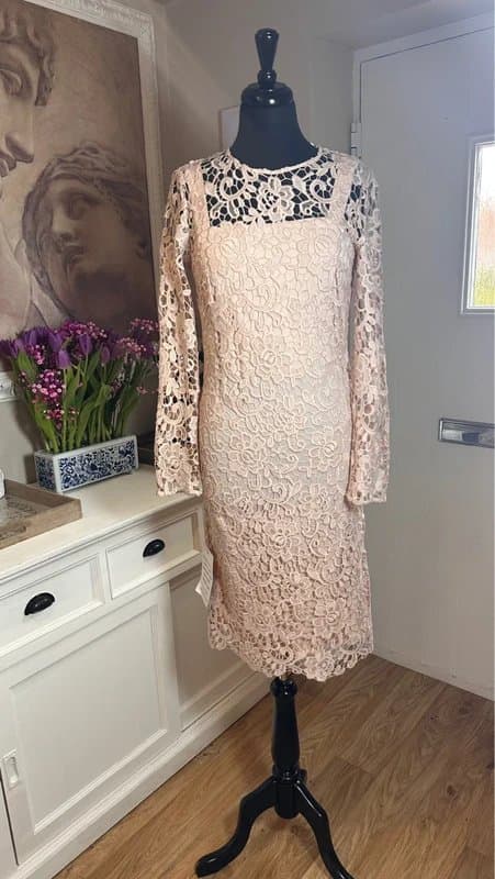 Gina Bacconi Gina Bacconi blush pink lace occasion dress new with tags rrp 189 uk 8 ascot christening