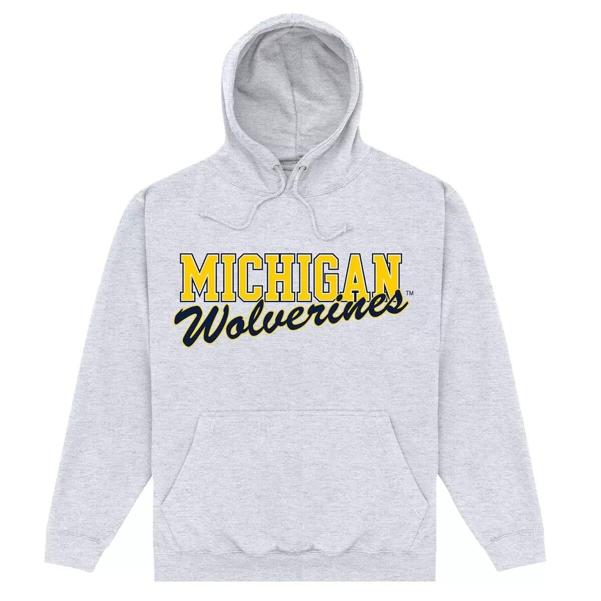 Michigan Wolverines Michigan Wolverines Men's Logo Hoodie in Grey