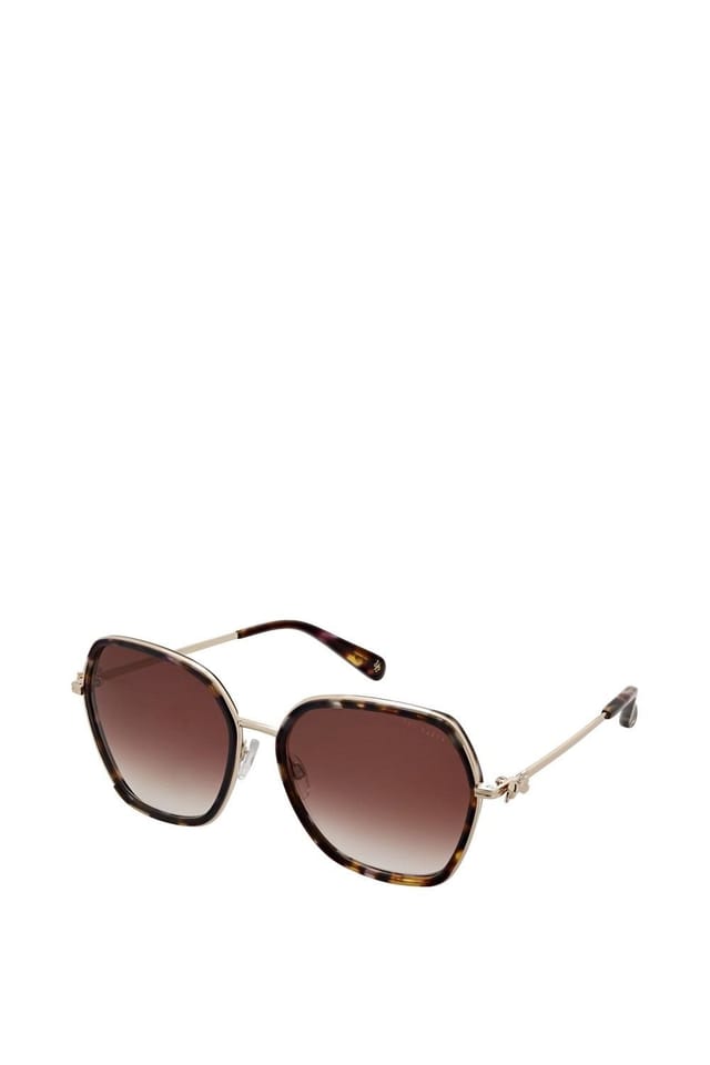 Ted Baker Ted Baker Women's Kira Sunglasses in Brown - 2