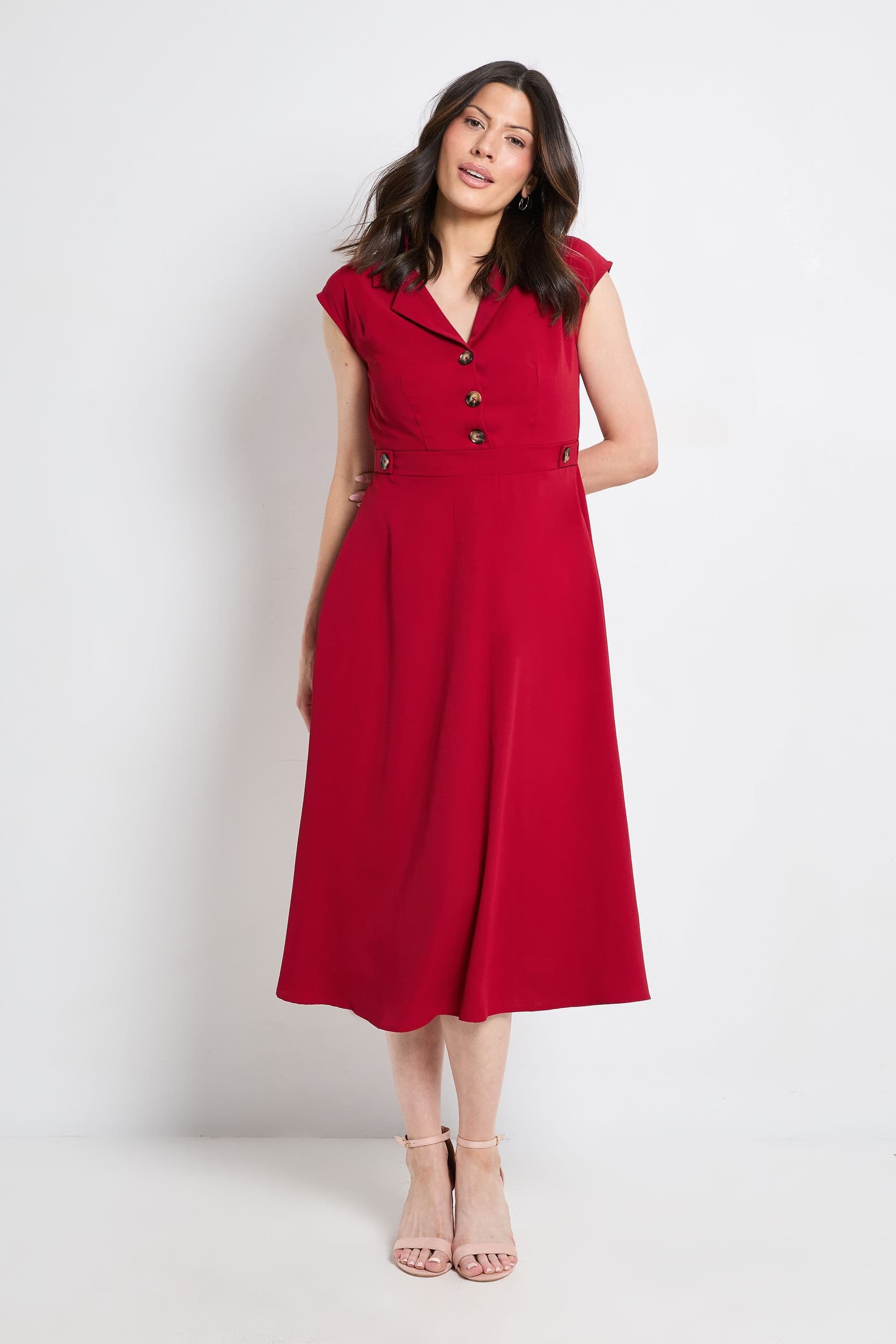 Principles Principles Women's Collared Button Detail Fit & Flare Dress in Dark Red