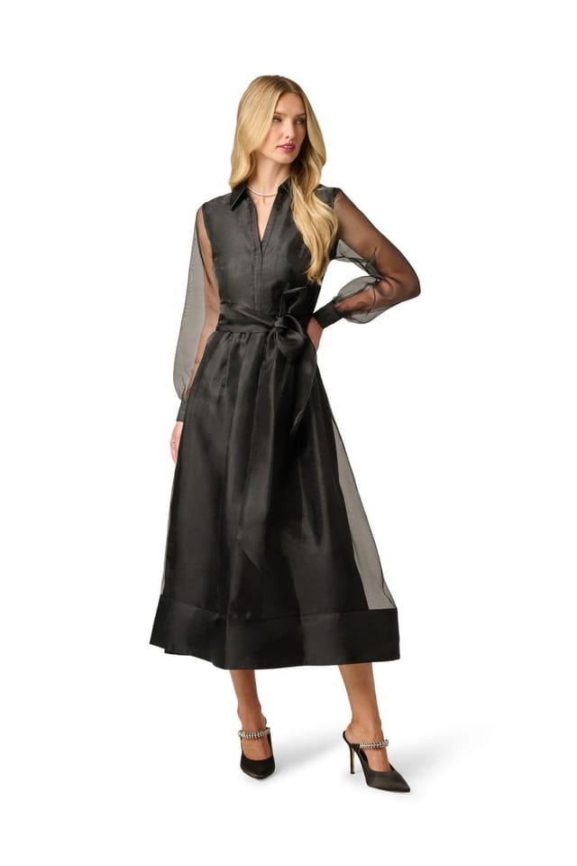 Adrianna Papell Adrianna Papell Women's Organza Ankle Shirtdress in Black - 2