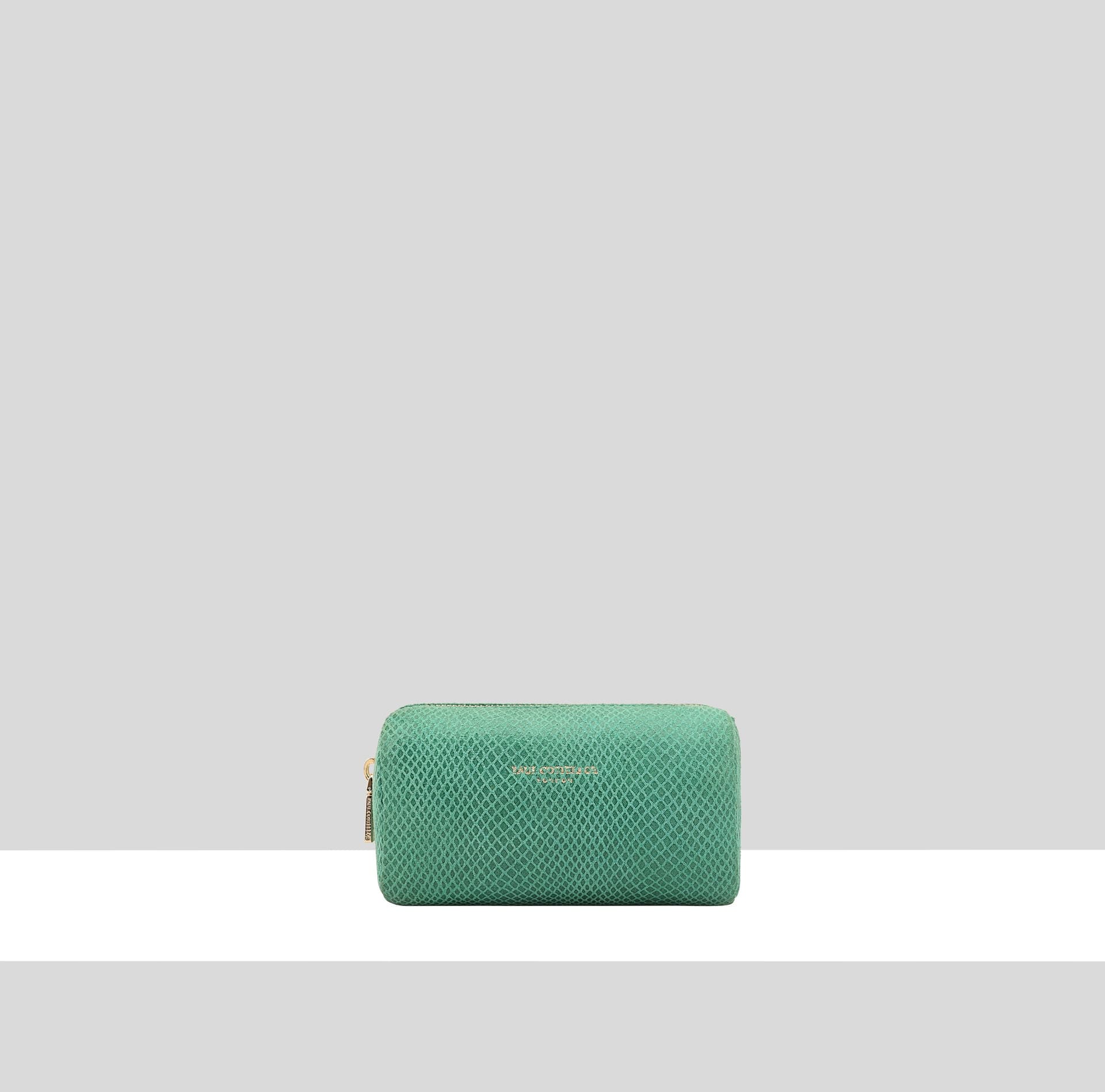 Paul Costelloe Paul Costelloe Women's 'Pelmo' 100% Real Leather Purse in Green