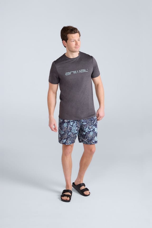 Animal Animal Men's 'Latero' Logo Print Quick Dry UPF 50+ Protected Relaxed Fit Swim Tee in Charcoal - 2