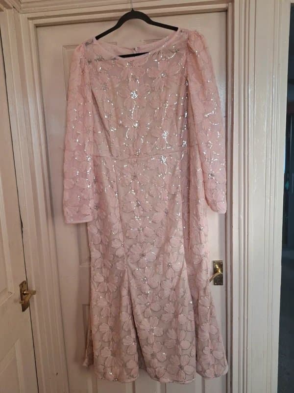 Anewsta Stunning Maxi Dress Wedding, Cruise, Party  Blush Pink Silver Sequin Shimmer  Size 24