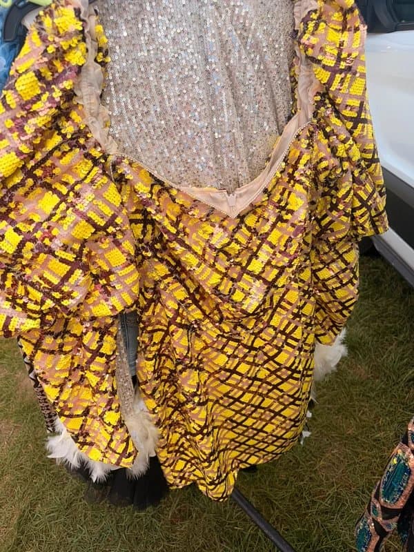 ASOS ASOS luxe sequin dress