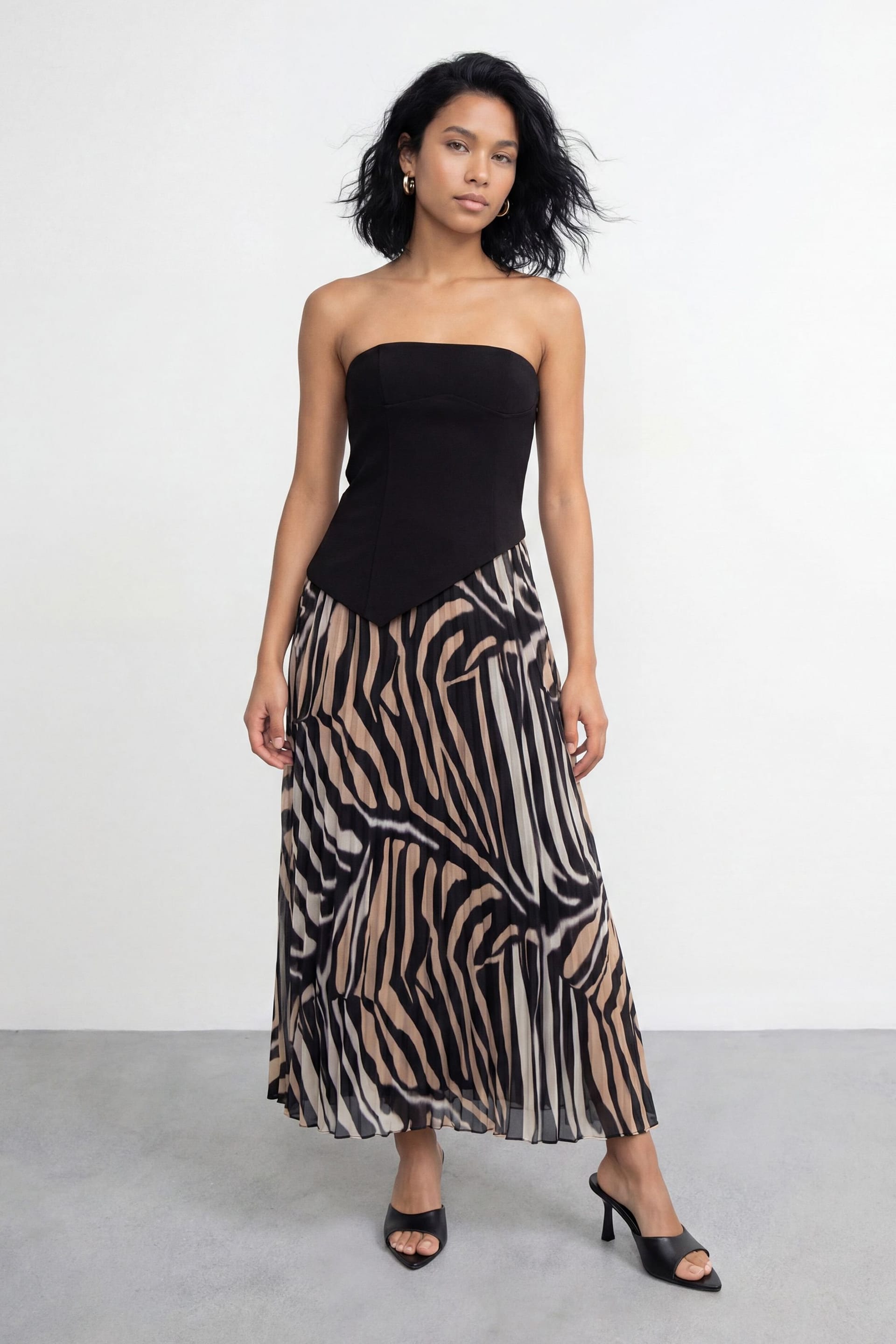 zebra