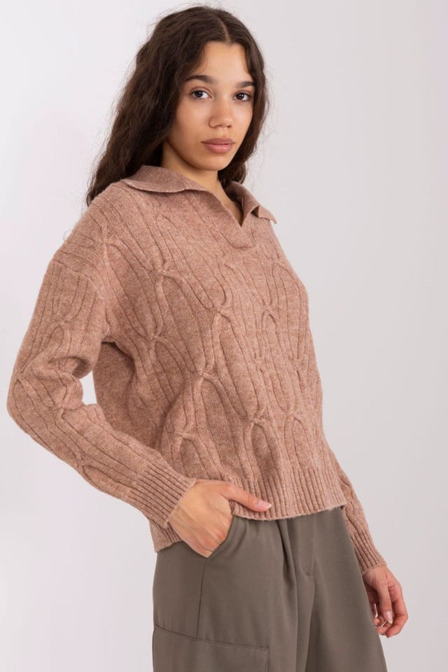 Love Lace Love Lace Women's Textured Acrylic Long Sleeve Sweater with Collar in Brown - 2