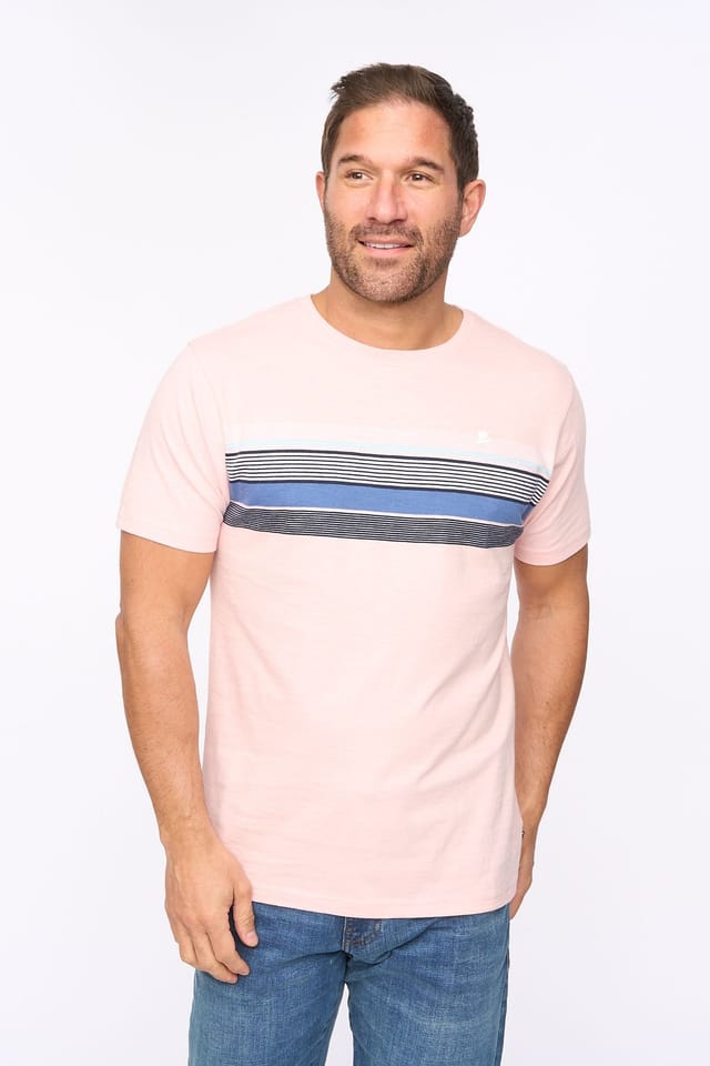 Bewley&Ritch Bewley&Ritch Men's Laylen 100% Cotton Yarn-Dyed Stripe Crew Neck T-Shirt in Light Pink - 3