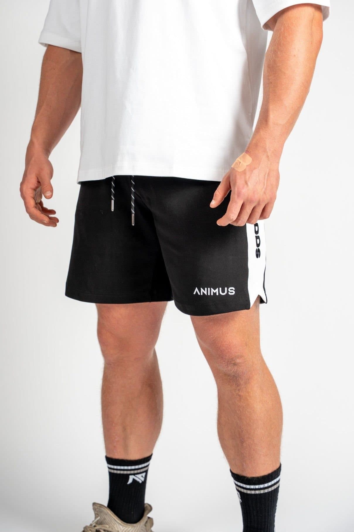 Animus Animus Men's Defy Shorts in Black
