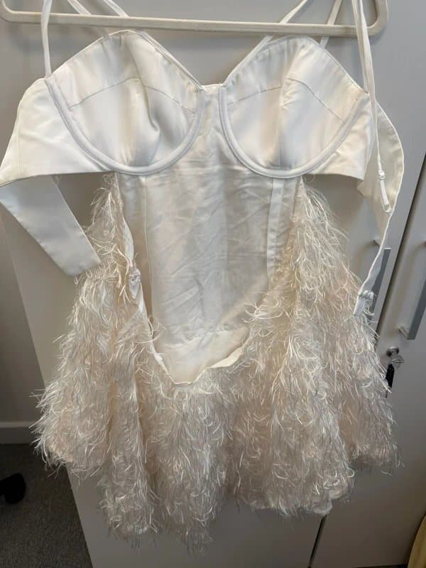 Asos luxe Corset Feather Dress
