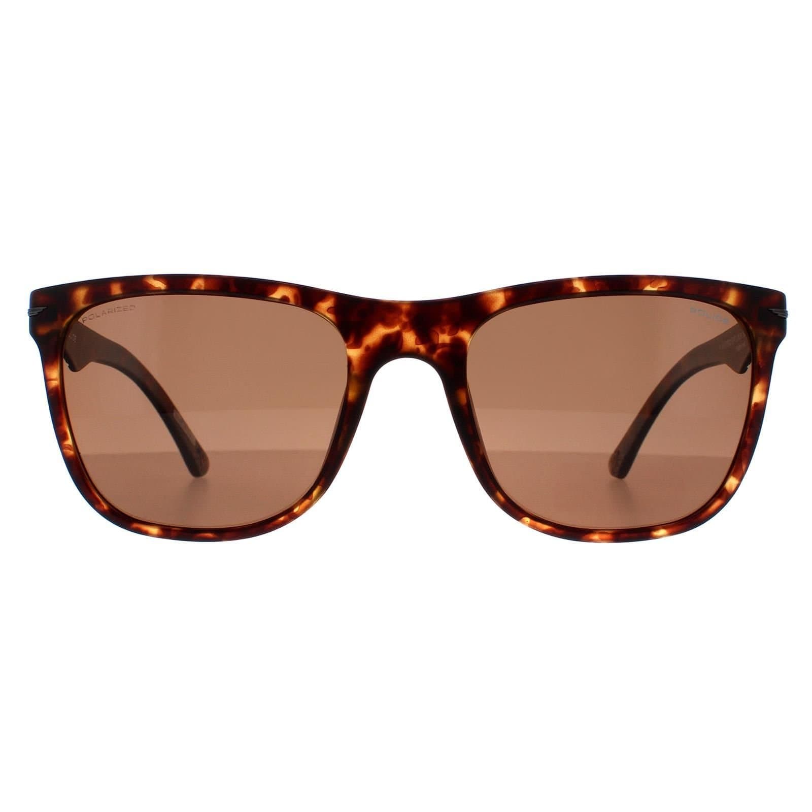Police Police Men's Rectangle Matte Dark Havana Brown SPL357 Blackbird Light 2 Sunglasses