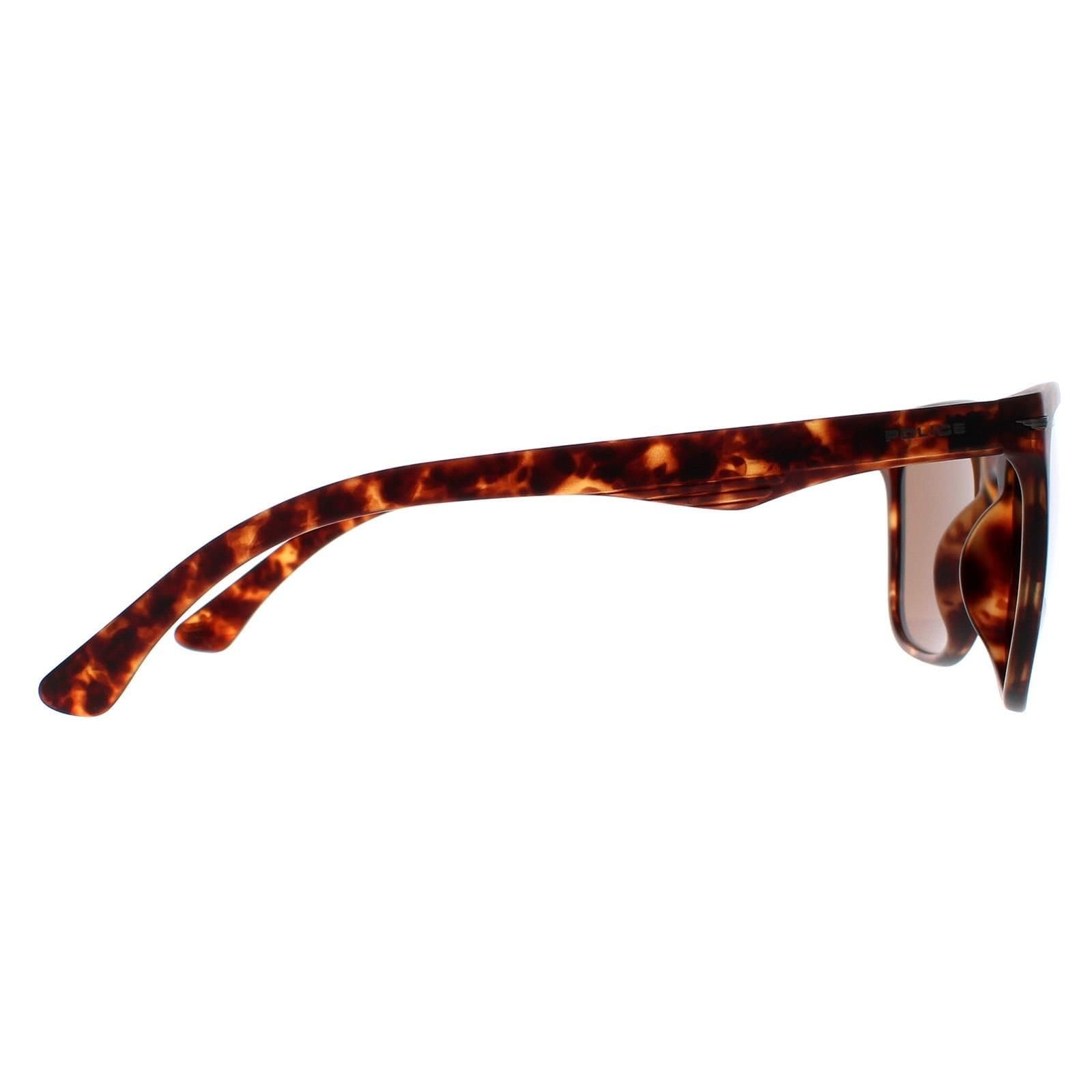 Police Police Men's Rectangle Matte Dark Havana Brown SPL357 Blackbird Light 2 Sunglasses - 4