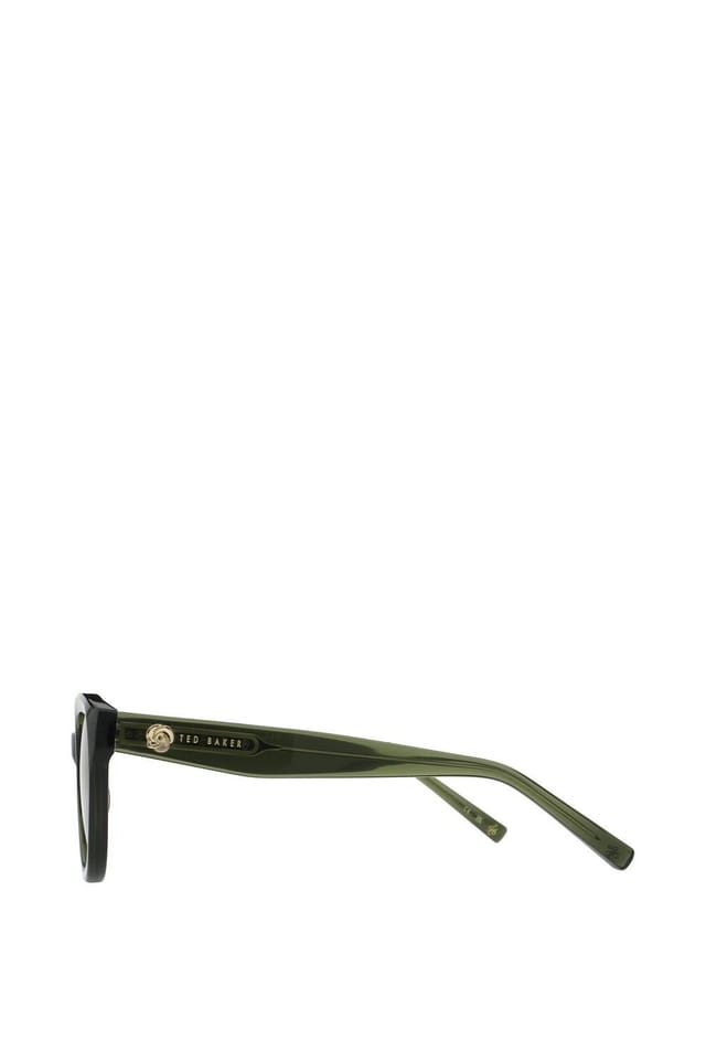 Ted Baker Ted Baker Women's Daliah Sunglasses in Khaki - 3