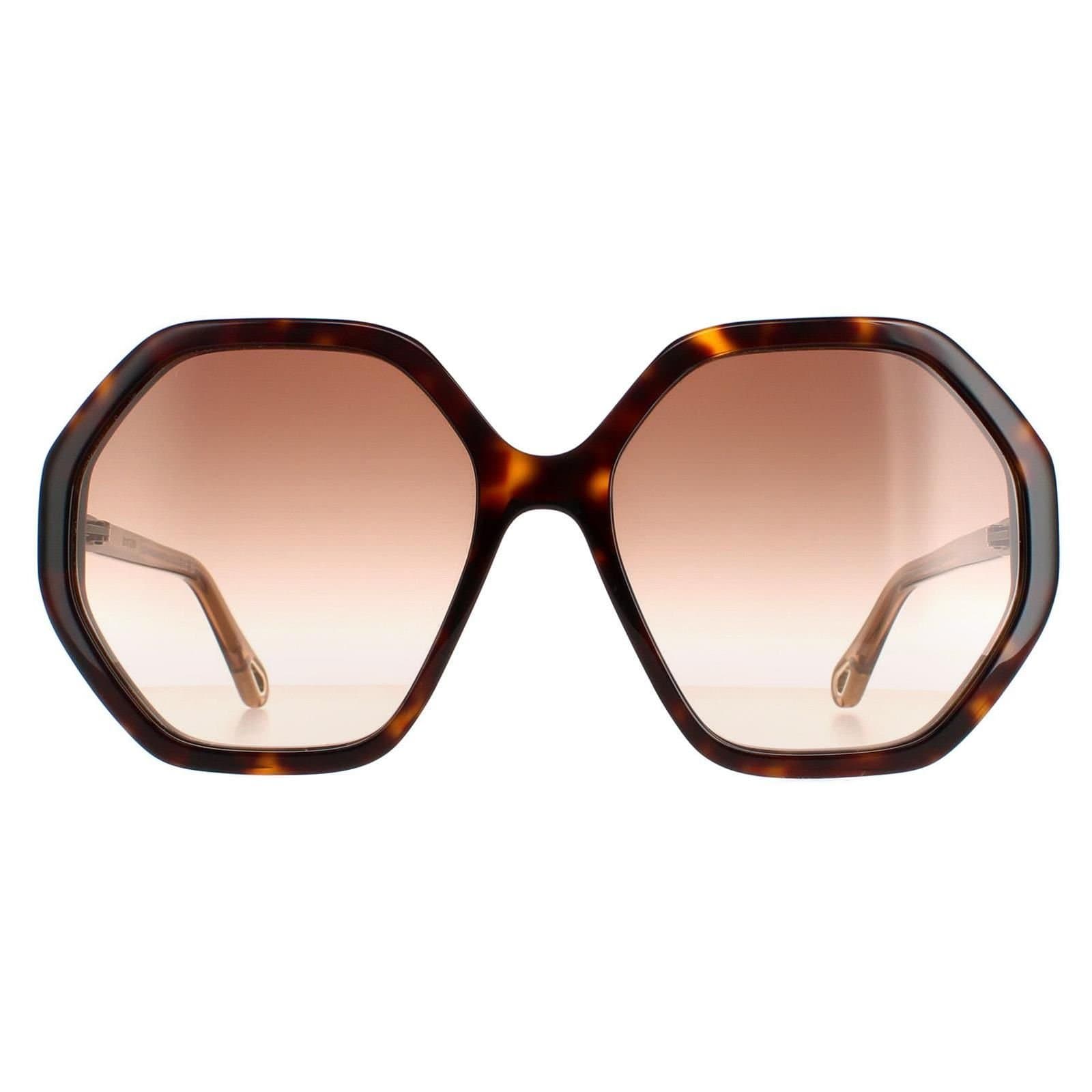 Chloé Chloé Women's Round Dark Havana & Brown Crystal Brown Gradient CH0008S Esther
