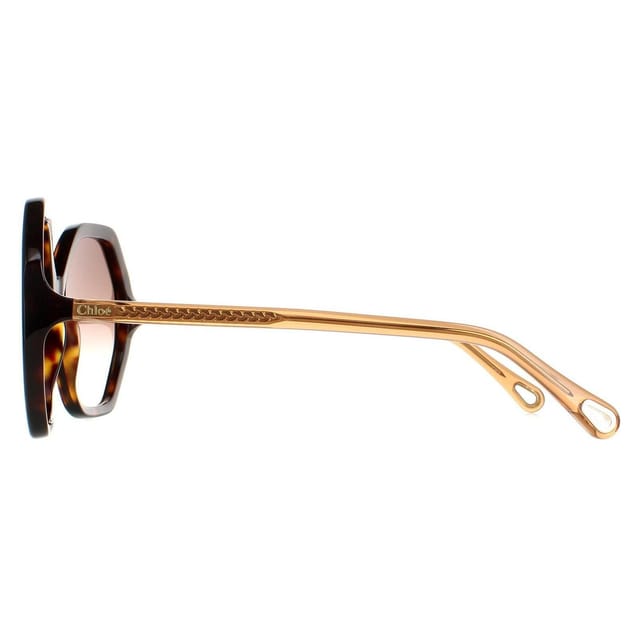 Chloé Chloé Women's Round Dark Havana & Brown Crystal Brown Gradient CH0008S Esther - 3