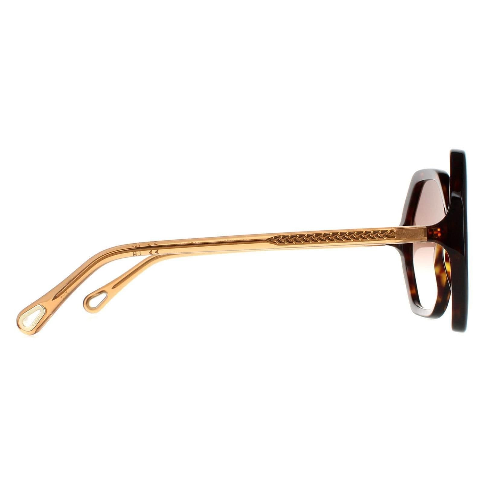 Chloé Chloé Women's Round Dark Havana & Brown Crystal Brown Gradient CH0008S Esther - 4