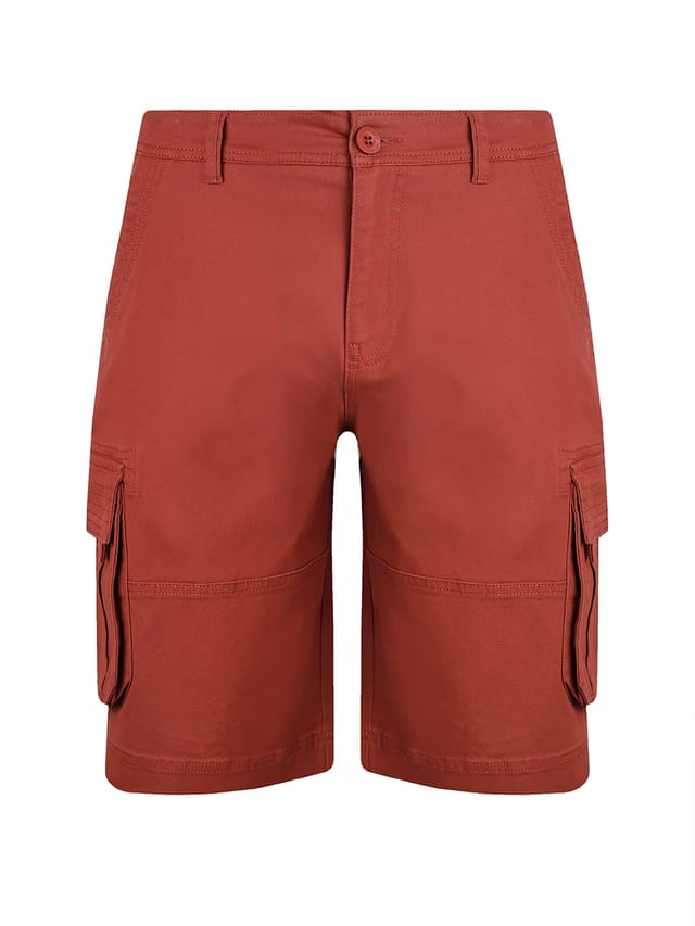 Weird Fish Weird Fish Men's Rigney Cargo Shorts in Maroon - 2