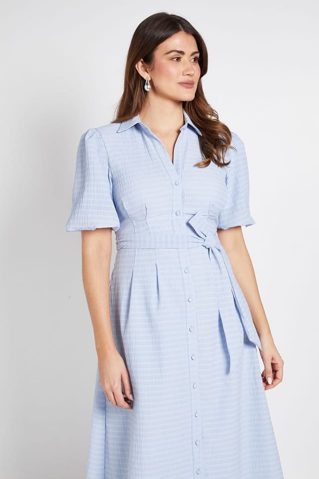 Wallis Wallis Women's Textured Organza Puff Sleeve Shirt Dress in Blue - 2
