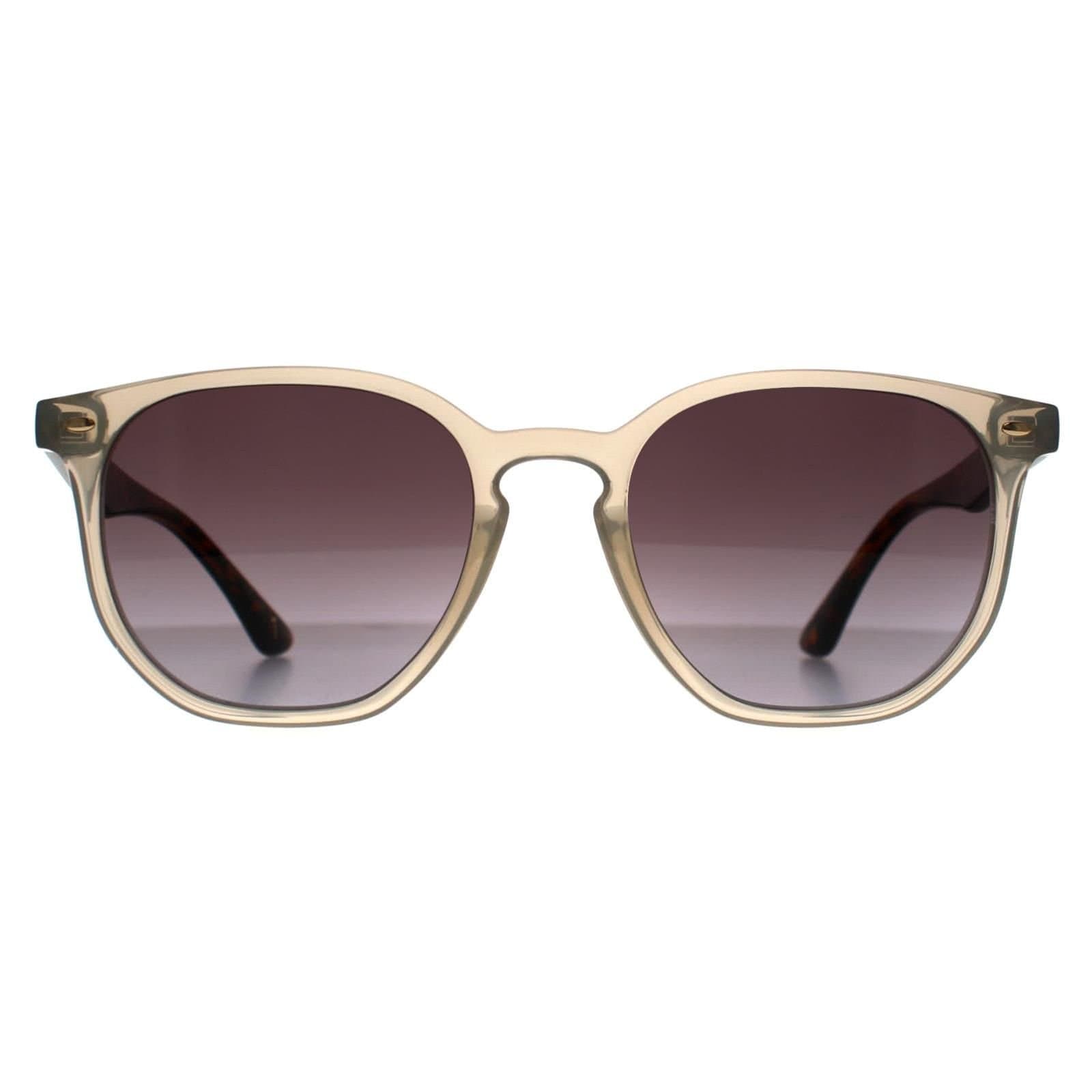 Ted Baker Ted Baker Men's Round Transparent Grey & Havana Brown Gradient TB1655 Dock